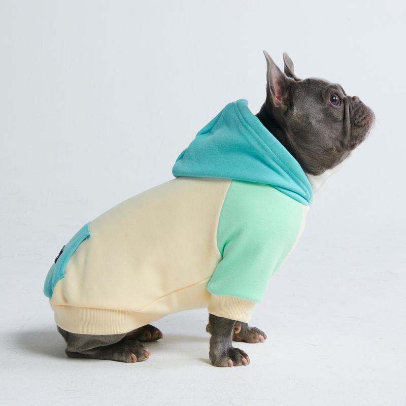 Küsten Hunde Hoodie