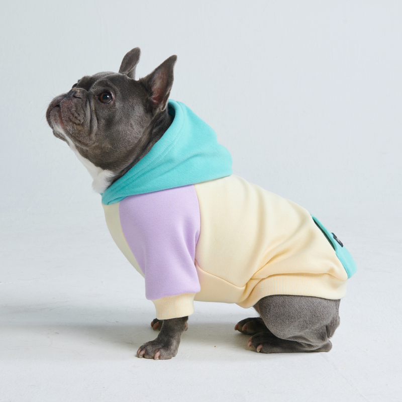 Küsten Hunde Hoodie