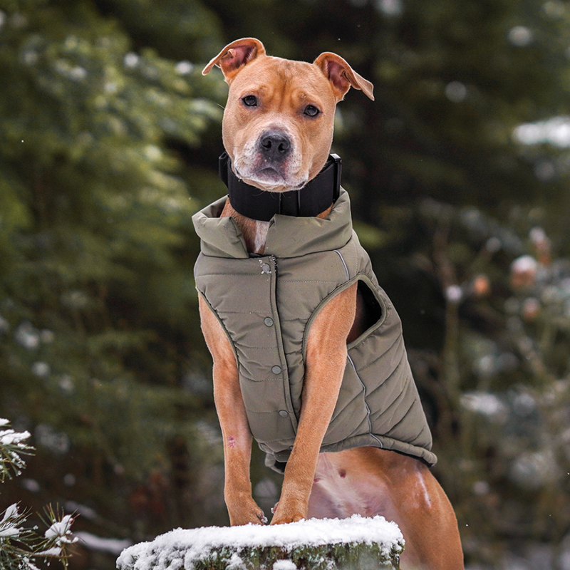 Olive Warmshield Jacket||size:S,M,L,XL,2XL,3XL,4XL,5XL