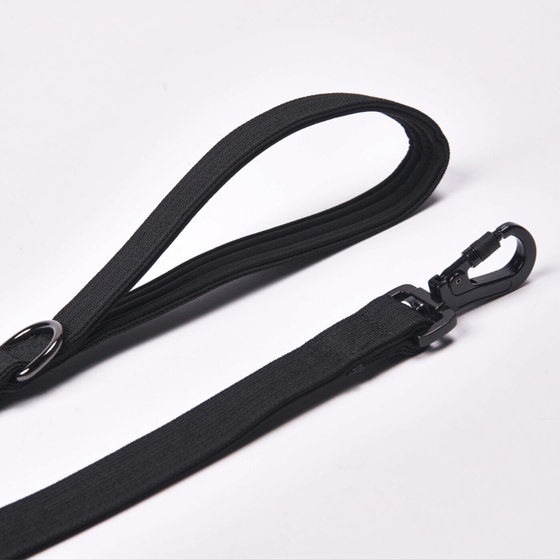 Leine und Kotbeutelhalter-Set - Schwarz