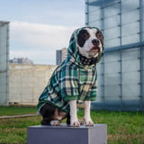 Grün-karierter Hunde Hoodie