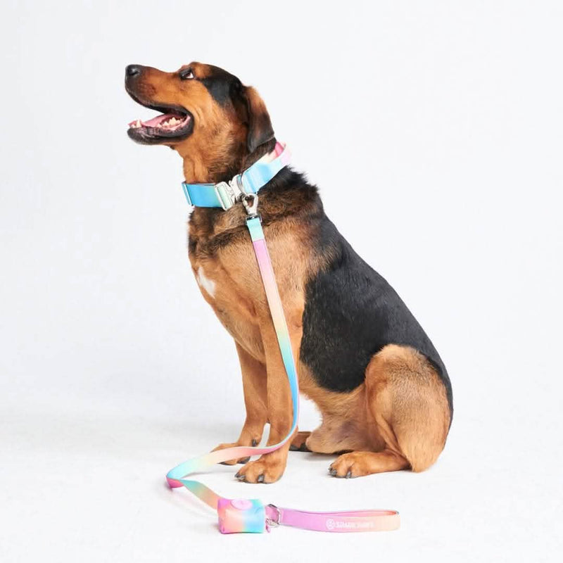 Taktisches Hundehalsband - und Leinen-Set - Pastellglasur
