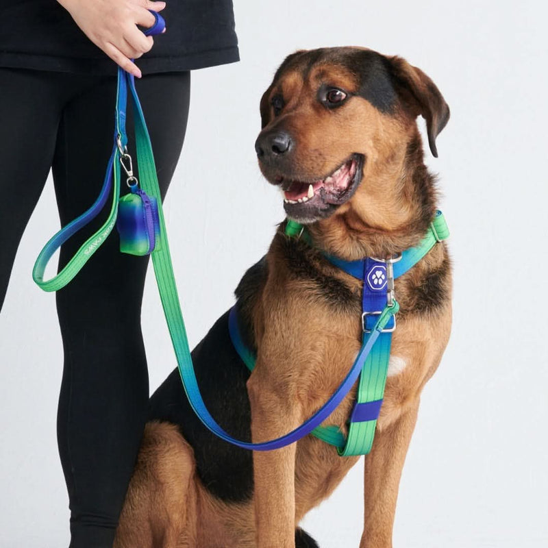 Komfort-Kontrolle No-Pull Hundegeschirr set - Limewelle