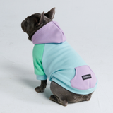 Tagtraum Hunde Hoodie