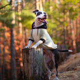 Oliv Creme Hunde Hoodie