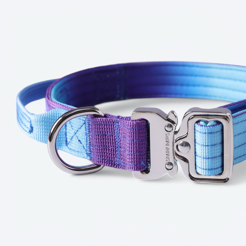 Taktisches Halsband für große Hunde - 90s Retro