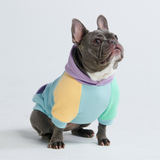 Tagtraum Hunde Hoodie