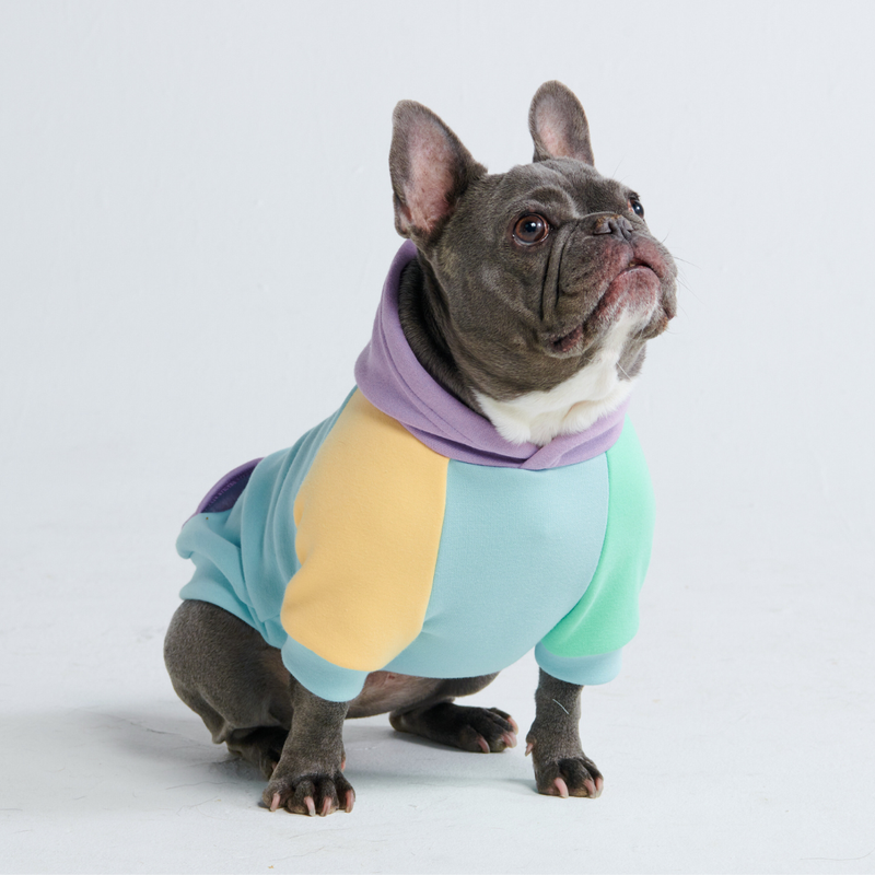 Tagtraum Hunde Hoodie