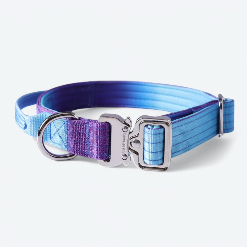Taktisches Halsband für große Hunde - 90s Retro