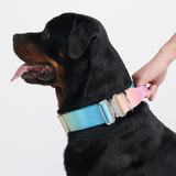 Taktisches Hundehalsband - und Leinen-Set - Pastellglasur