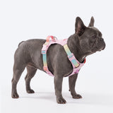 Pastel Icing Everyday||size:2