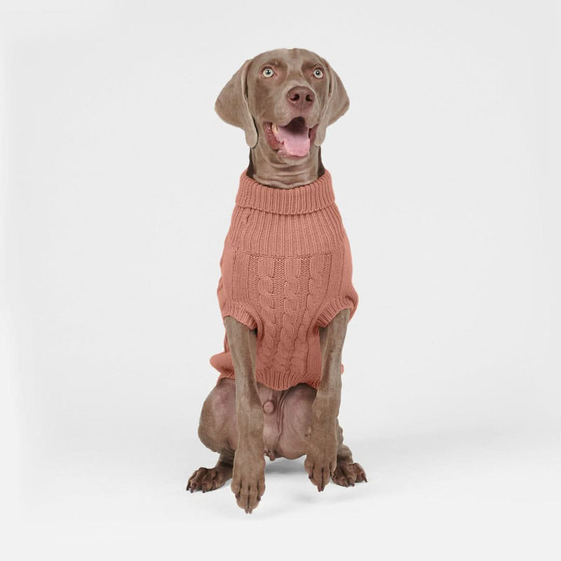 Strickpullover für Hunde - Braun