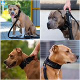 Taktisches Halsband für große Hunde - Schwarz