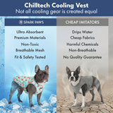 Cherries Watermelon||size:S,M,L,XL,2XL,3XL,4XL,5XL