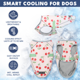 Cherries Watermelon||size:S,M,L,XL,2XL,3XL,4XL,5XL