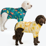 Dinosaurs and Sunshine||size:2XL
