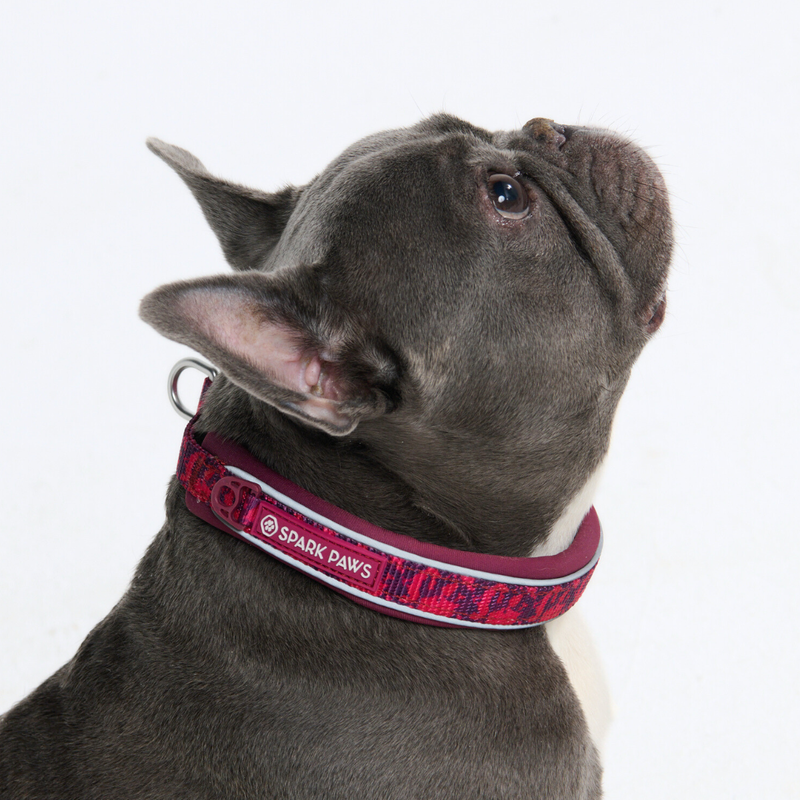 Fuchsia Camo Collar||size:A,B