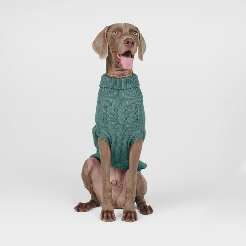 Strickpullover für Hunde - Kieferngrün