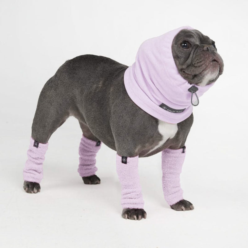 Beruhigender Hund-Ohrenschützer gegen Angst - Flieder