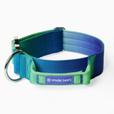 Taktisches Halsband für große Hunde - Limewelle
