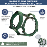 Green Harness||size:S,M,L

