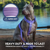 Komfort-Kontrolle No-Pull Hundegeschirr set - Flieder