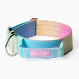 Taktisches Halsband für große Hunde - Pastellglasur