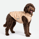 Beige Thermosonic Winter Jacket||size:2XL