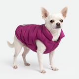 Magenta Thermosonic Winter Jacket||size:S