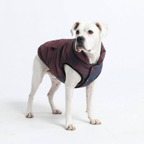 Wasserabweisende WarmShield-Jacke – Cosmic