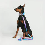 Taktisches Hundehalsband - und Leinen-Set - 90s Retro