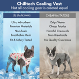 Cherries Popsicles||size:S,M,L,XL,2XL,3XL,4XL,5XL