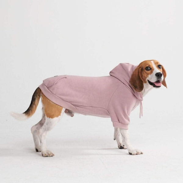 Essentielles Hunde Hoodie - Purpurtaupe