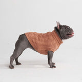 Strickpullover für Hunde - Braun