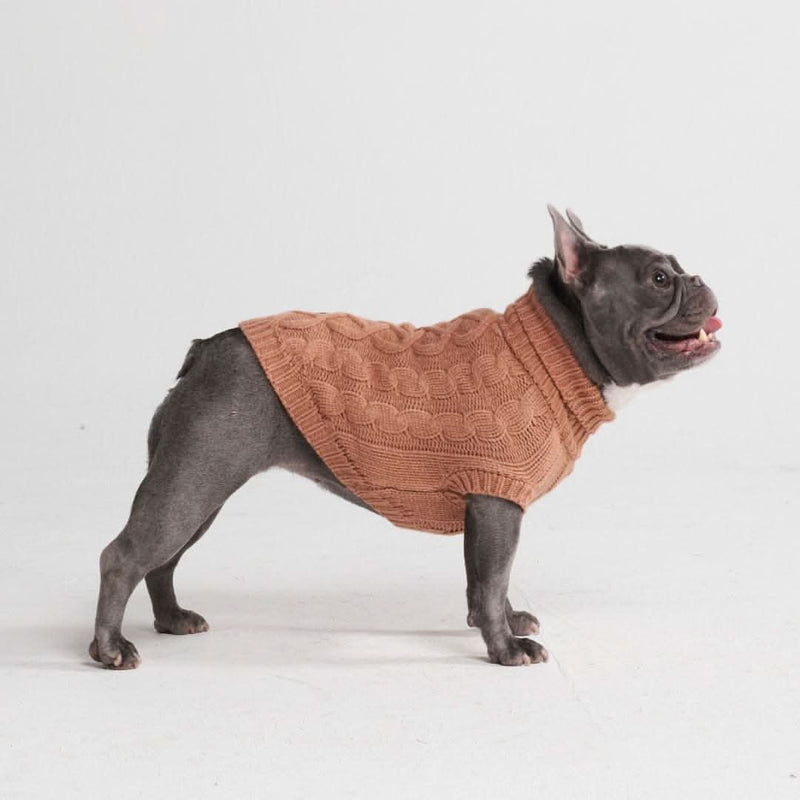 Strickpullover für Hunde - Braun