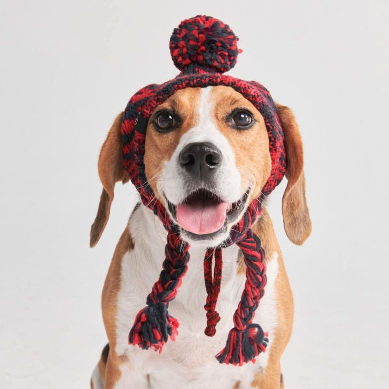 Gestrickte Hunde Pom Pom Mütze - Mehrfarbig