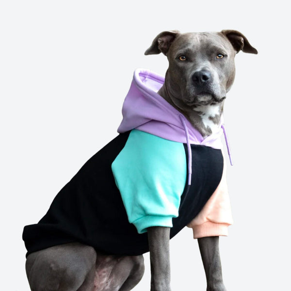 Cyber Punk Hunde Hoodie