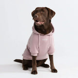 Essentielles Hunde Hoodie - Purpurtaupe