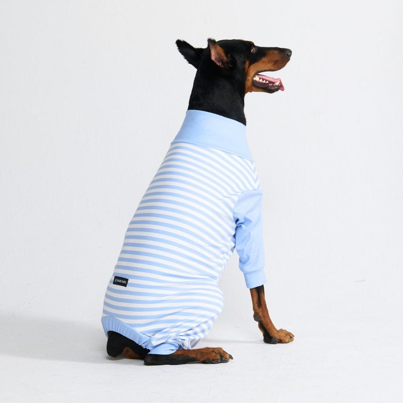 Hunde Pyjama - Blaue Streifen