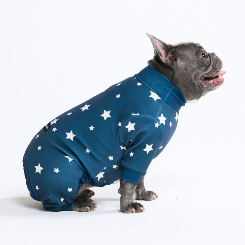 Hunde Pyjama - Sterne