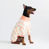 Hunde Pyjama - Pfirsiche