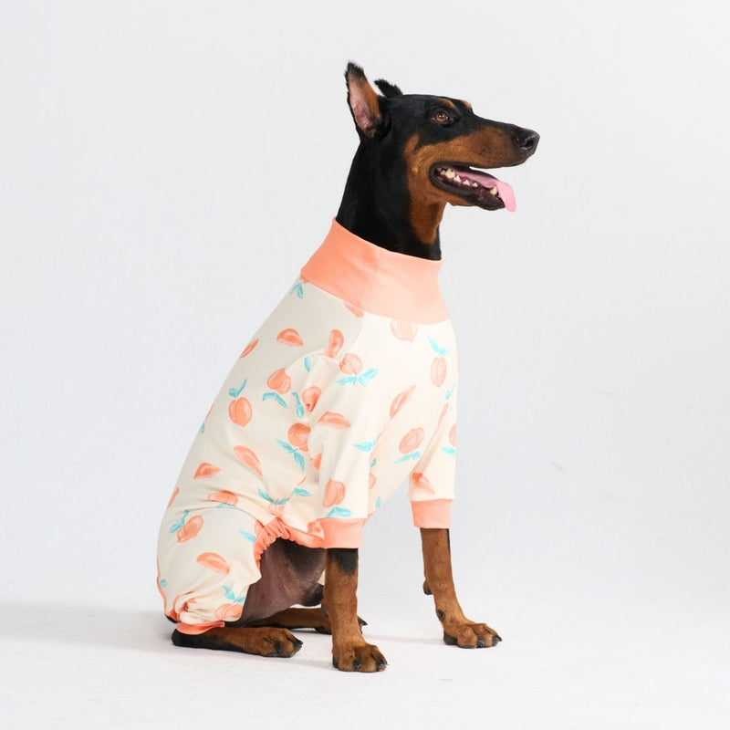 Hunde Pyjama - Pfirsiche