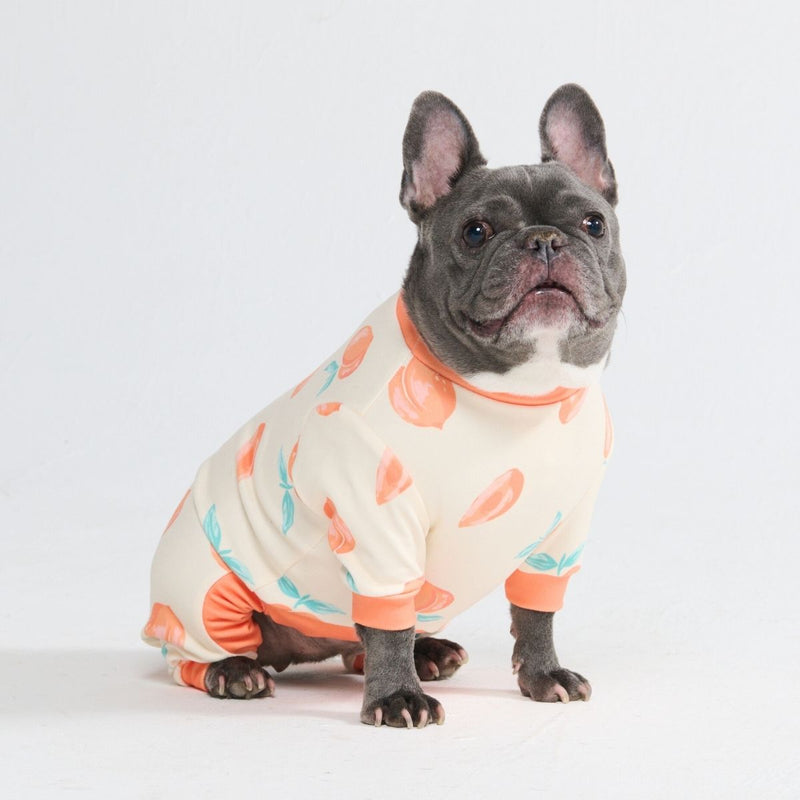 Hunde Pyjama - Pfirsiche