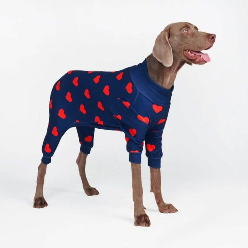 Hunde-Pyjama - Herzen