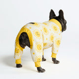 Hunde Pyjama - Sonnenschein