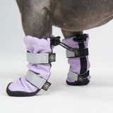 Flex Shell Wasserfeste Hundestiefel - Flieder