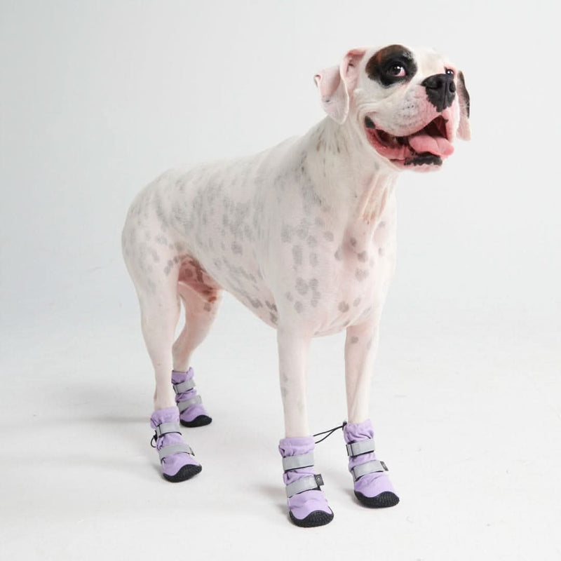 Flex Shell Wasserfeste Hundestiefel - Flieder