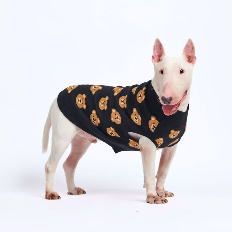 Gestrickter Hundepullover mit Aufdruck