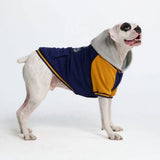 Collegejacke für Hunde– Blaugelb