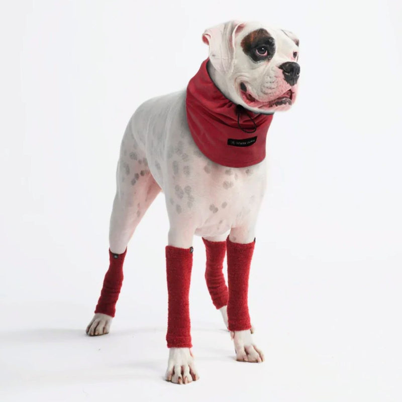 Dehnbare Fleece-Beinwärmer für Hunde - Rot
